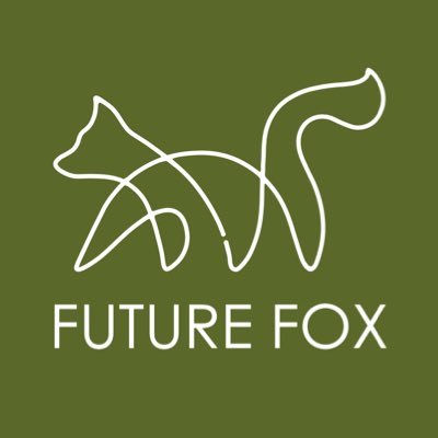 FUTURE FOX OUTDOOR