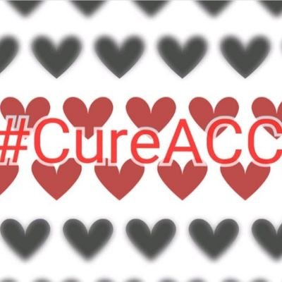 8:02 am 6-27-2017
The moment my passed passed away in my arms❤️
I'm currently fighting for a cure in her honor. Feel free to message me whenever! #CureACC
