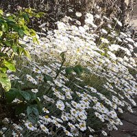 Chris Victoria (@chrisandvictory) 's Twitter Profile Photo