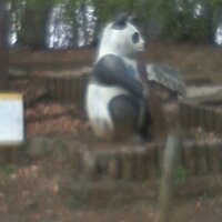 kakkunya (@kakkunya_enl) 's Twitter Profile