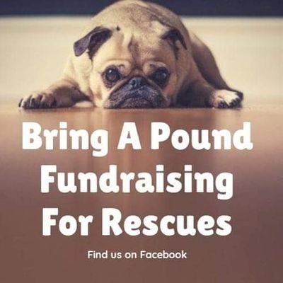 We are the BAP fundraising team on Twitter and Facebook. We hold monthly bring a pound fundraisers for rescue centres in the UK help towards their vet fees