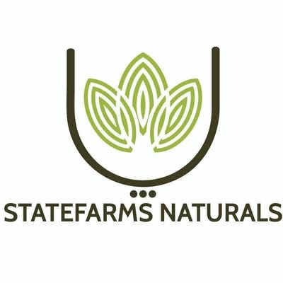 StatefarmsN's profile picture. 