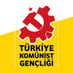 Türkiye Komünist Gençliği (@TKGninsesi) Twitter profile photo