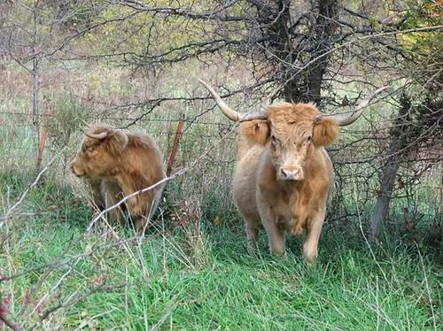 ranwin33's profile picture. Husband, Father, Grandfather.  Always ready for the next adventure.