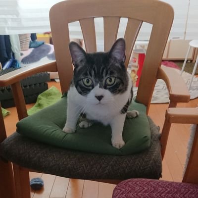 ひめこさんのプロフィール画像