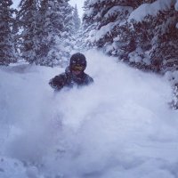 Dré Fleury (@drefleury) 's Twitter Profile