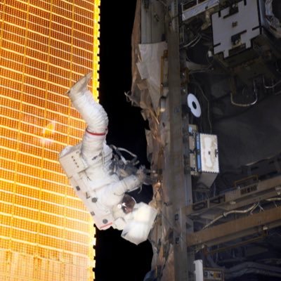 TNwyGlFV1p6mO1L's profile picture. 