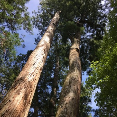 smile32112's profile picture. お仕事用にアカウント作りました。 #保募ツイ連 正会員  生保ソリシター