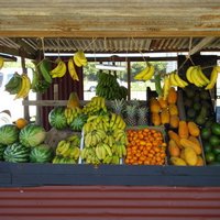 El Viandon (@elviandon) 's Twitter Profile