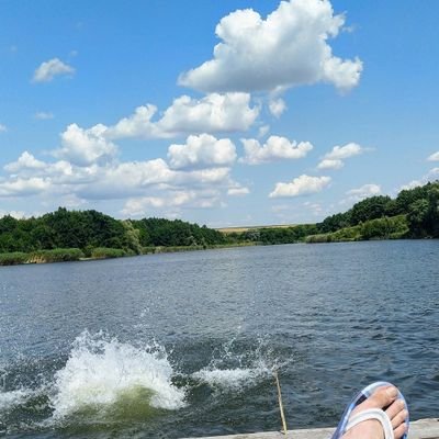 FaradVert's profile picture. 