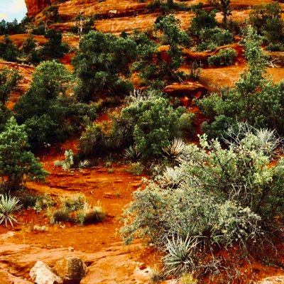 SOSUHAK0202's profile picture. 