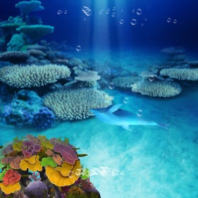 whatmathm's profile picture. 