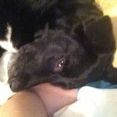 MLMYoung1's profile picture. she/her PSA Don't DM me with any of your anti-choice BS. Write it in your diary and let future generations shudder reading it.