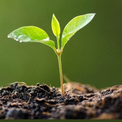 mohamma69723377's profile picture. I believe to God