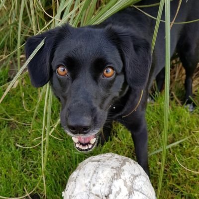 Animal/nature lover, enjoy walking my dog and going to the spa. Enjoy working with children. I like fantasy, supernatural, sci fi and horror books and films.