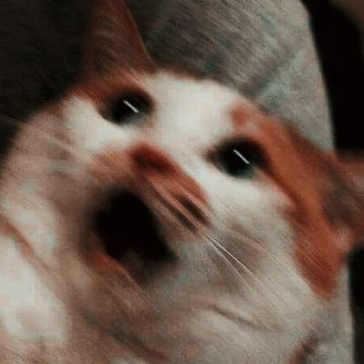 Spleens18's profile picture. 