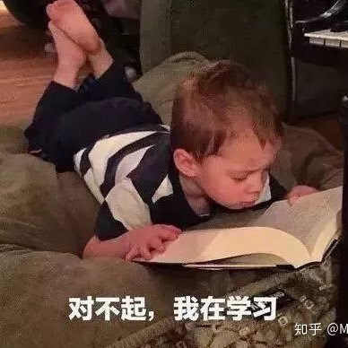 ScarletReaper12's profile picture. 