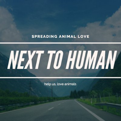 Next to Human is a twitter group that LOVES animals, We post daily content. Our goal is to create a loving/interactive community that showcases our great pets:)