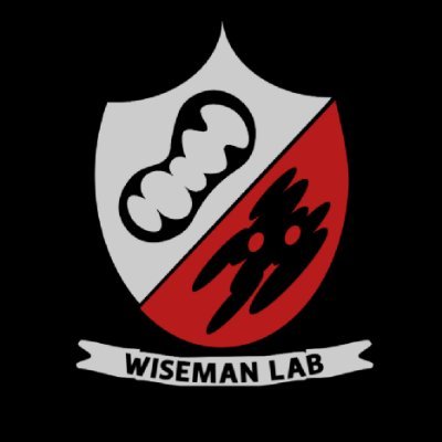 Official Twitter Account of Luke Wiseman's Lab at Scripps Research. For our research interests please visit our website @ https://t.co/qG3AQxslFr. Posts by Luke.