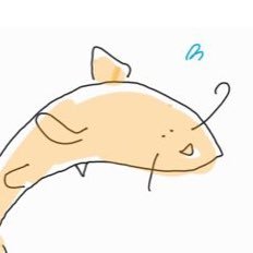 잉어🐡さんのプロフィール画像
