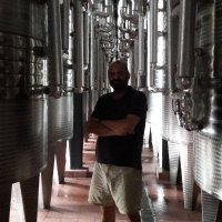 Aykut Ucak(@winemaker1974) 's Twitter Profile Photo