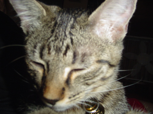 fentonjp's profile picture. 