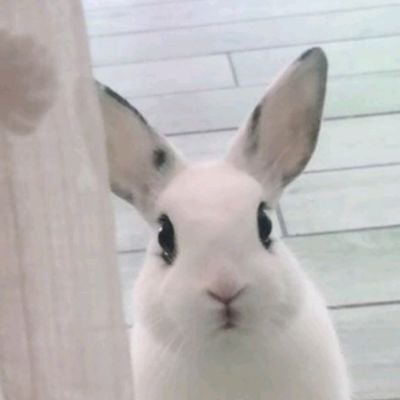 Fancycake8's profile picture. I love antiques🍐🌼🥂I love vintage things☕🍐🌼🥂