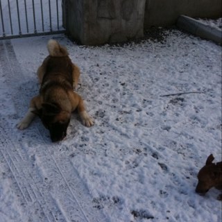 davidh1142's profile picture. Galway Groundworks Ltd, Polyunnels Nationwide Ltd