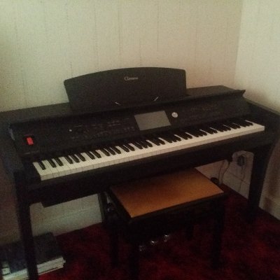 XBJPN_shmup_fan's profile picture. Classical pianist & organist.  Retro videogame enthusiast. Experienced pond keeper of Carp, Tench, Goldfish.