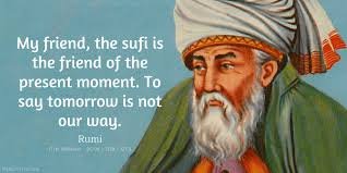 BilalNa05240344's profile picture. Doctor of Veterinary Medicine