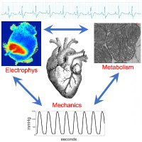 Kay Research Group (@mwkaylab) 's Twitter Profile