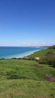 FettuD's profile picture. 