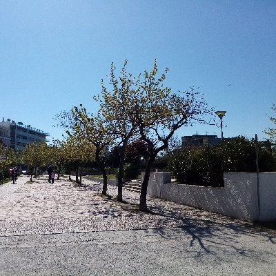 Marp99Maria's profile picture. 