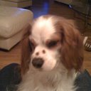 Patty Tucker - @fivefingeredwom - Twitter