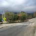 Altadena Safe Streets (@altadenastreets) Twitter profile photo Altadena Safe Streets (@altadenastreets) Twitter profile photo