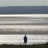 Joe (@joe25844878) 's Twitter Profile