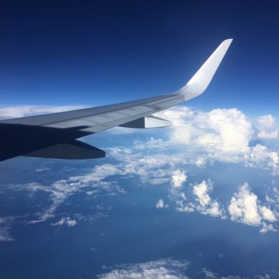 dafc09663417's profile picture. 🇵🇦