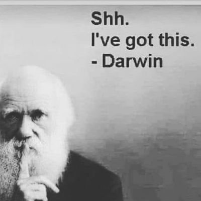 Father, Husband, Nerd, Amateur weirdo.
Live better, Vote Union.
#eattherich
Get vax'd, you plague rats.
Might be time to burn this motherf#@%er down...