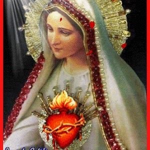 AMO A LA VIRGEN  MARIA. ME ENCANTAN LOS ANIMALES .TRATO DE SER UN BUEN SER HUMANO .❤️