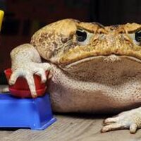 Alba Quinquillà (@albaqc) 's Twitter Profile