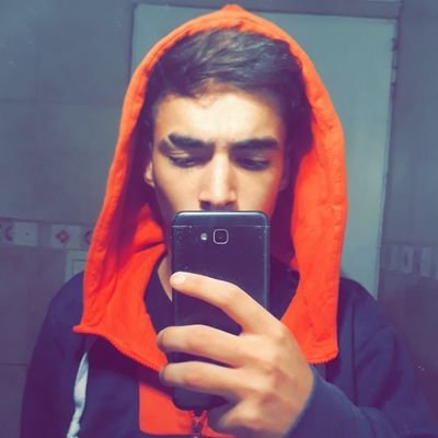 diego_trisiani's profile picture. 