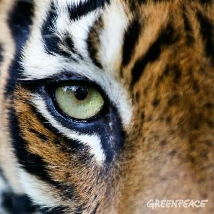 Bao94170850's profile picture. 