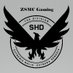 ZSMC Gaming (@ZsmcG) Twitter profile photo