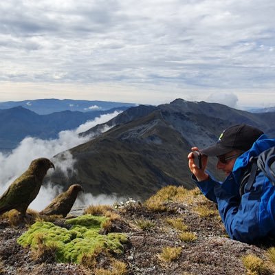 A Brit, now a hiking guide in New Zealand, why not?