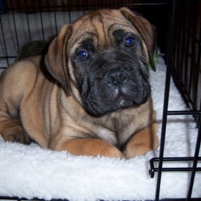 jmwagnon's profile picture. 