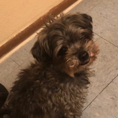 bigrollsaz's profile picture. 