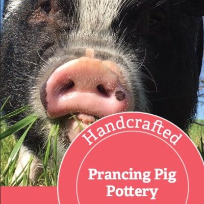 A Mud-Lover Paradise!... Creative Pottery and a Pig 🐷| Edie Hamilton (Artist & Pig Wrangler 😆)