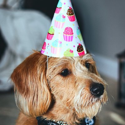 libraryparty's profile picture. 📚🥳