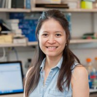 Diu Nguyen_vn_uk (@diunguyen_vn_uk) 's Twitter Profile