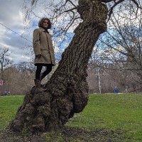 Daphne Ippolito (@daphneipp) 's Twitter Profile